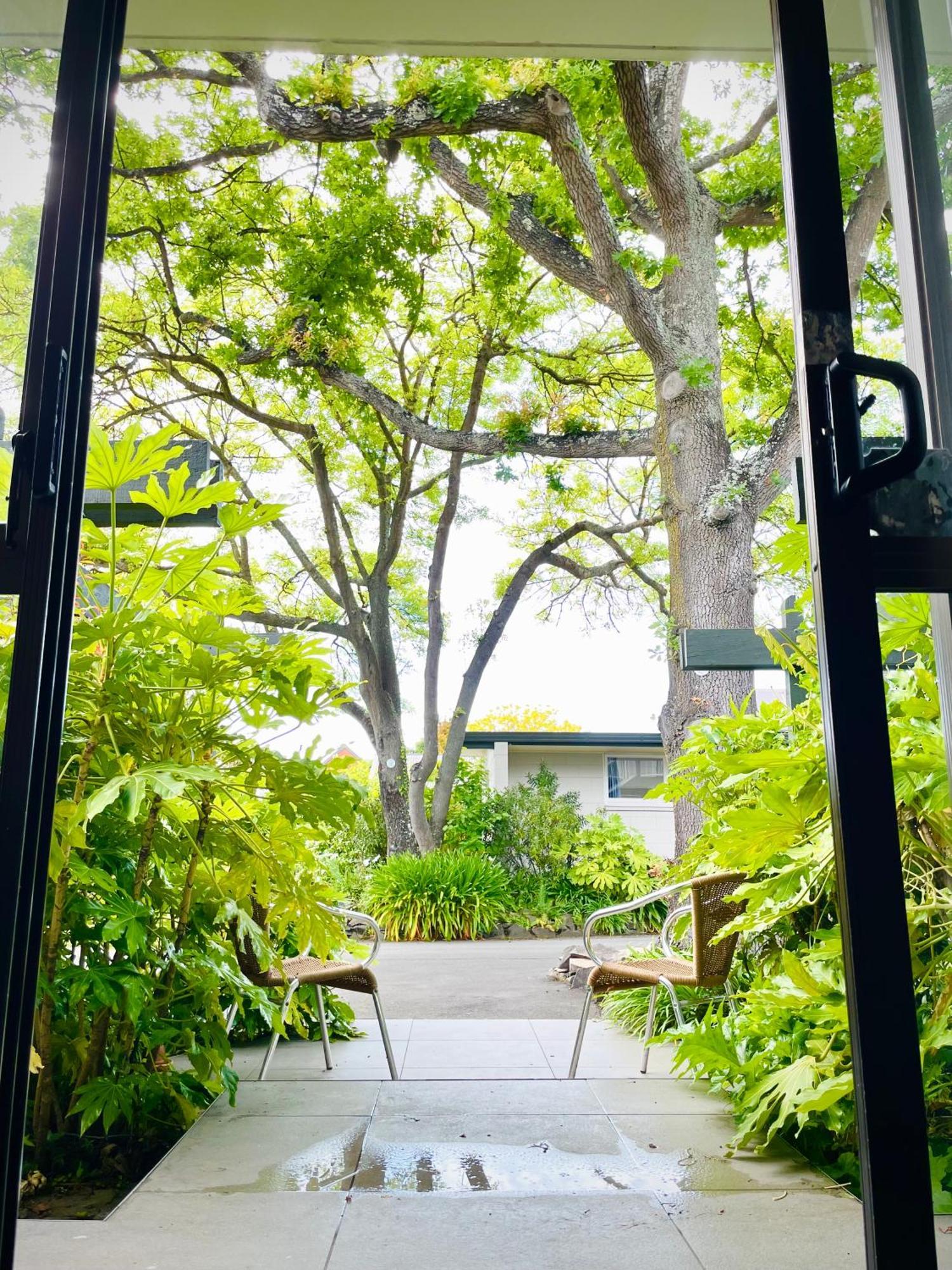 Ashleigh Court Motel-Christchurch Hagley Park Buitenkant foto